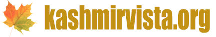 kashmirvista.org